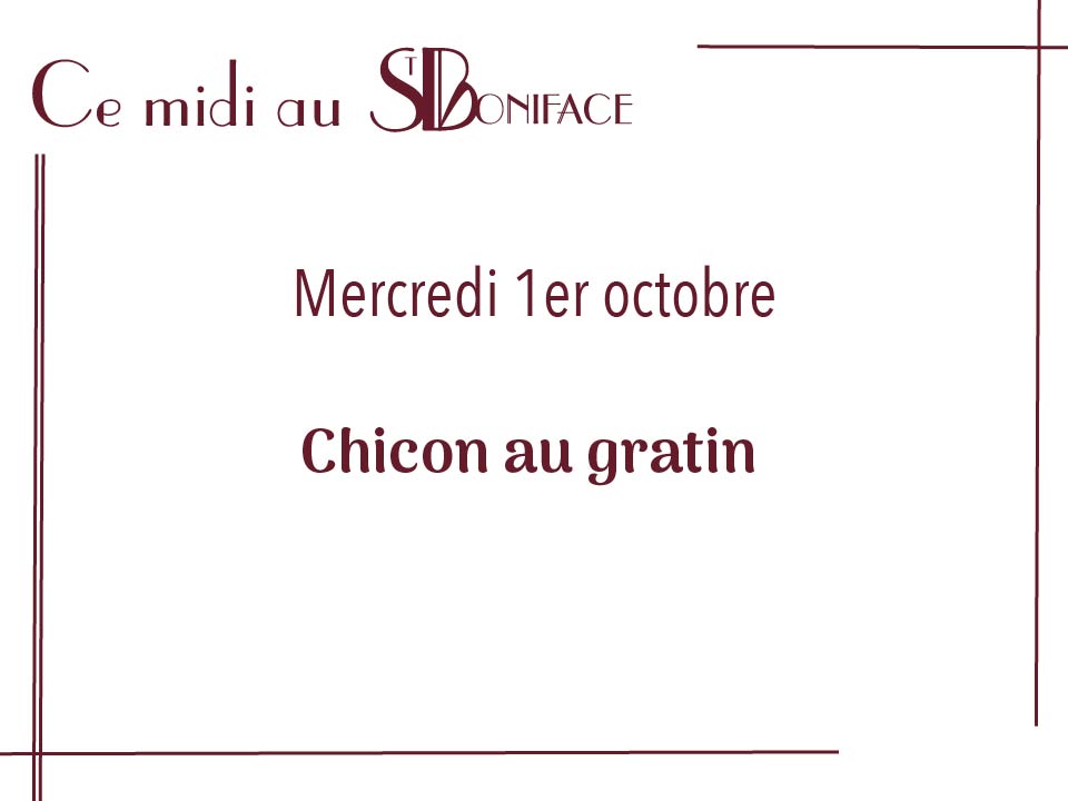 chicon au gratin